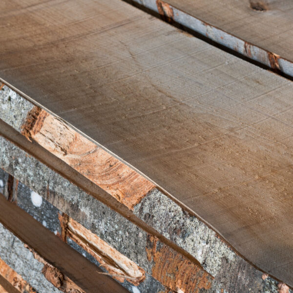 Bukev žagan les SLOLES Beech sawn timber